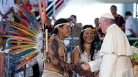 papa amazonas